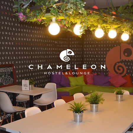 Chameleon Youth Hostel Alicante Exterior photo