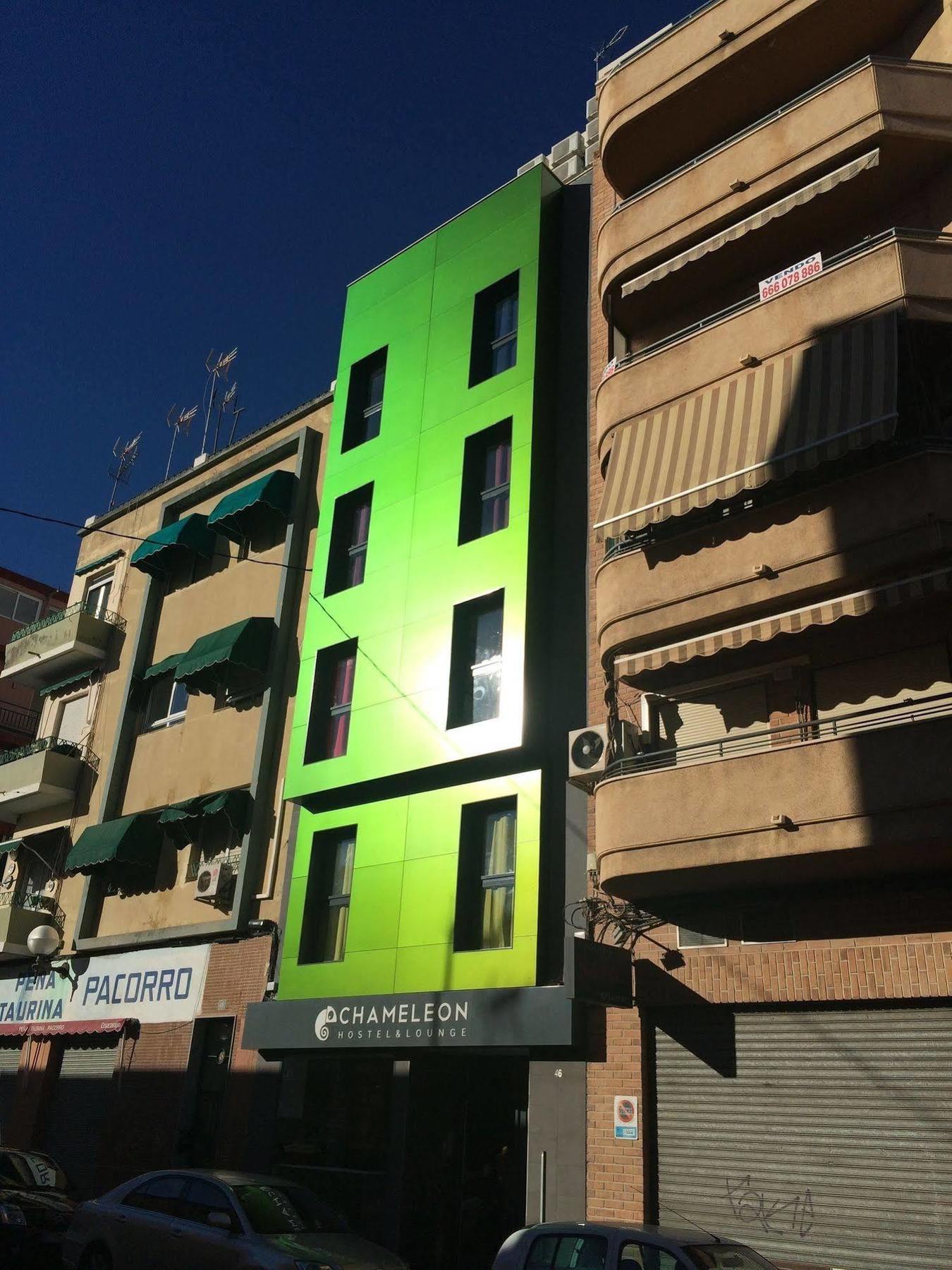 Chameleon Youth Hostel Alicante Exterior photo